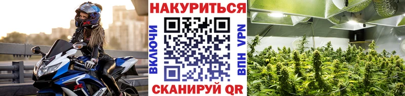 Бошки Шишки SATIVA & INDICA  Уссурийск 